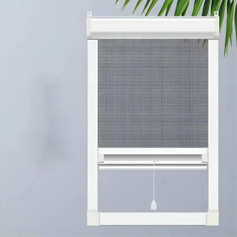 window with fly screen