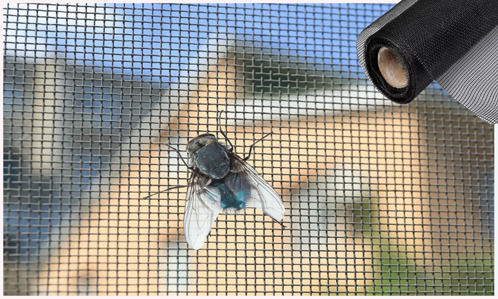 anti insect screen