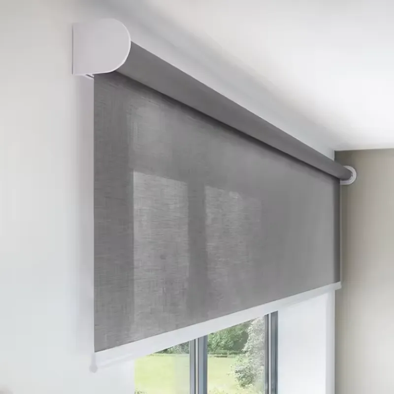 mosquito net modern