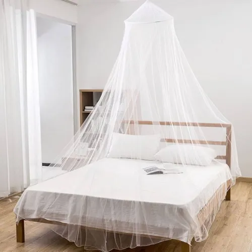 bedroom with mosquito net