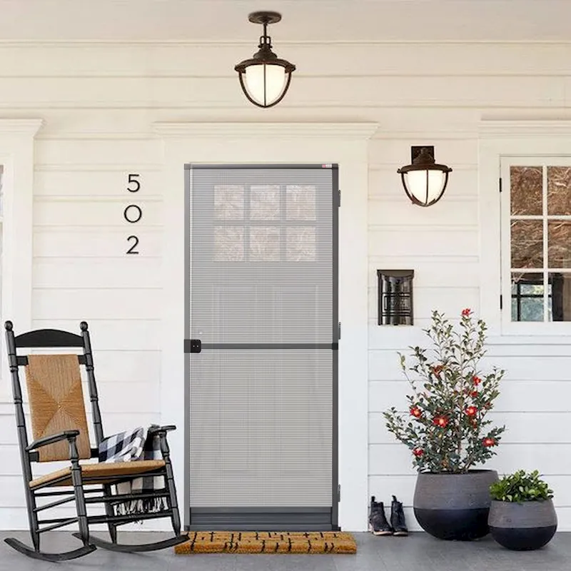 screen door bugs
